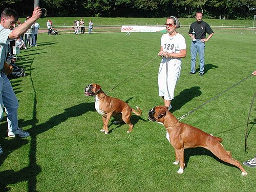 JSZ_PIC014.JPG