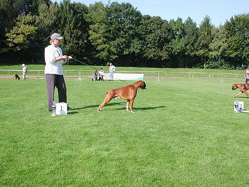 JSZ_PIC016.JPG