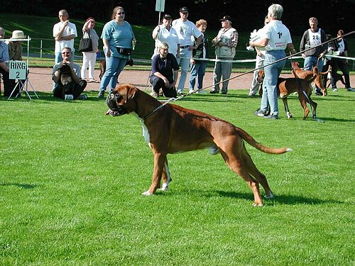 JSZ_PIC017.JPG