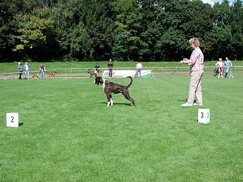 JSZ_PIC020.JPG