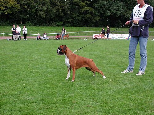 JSZ_PIC021.JPG