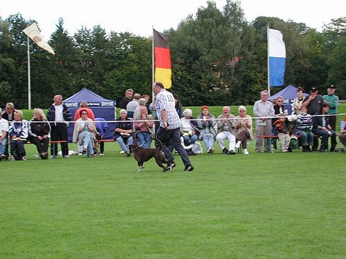JSZ_PIC031.JPG