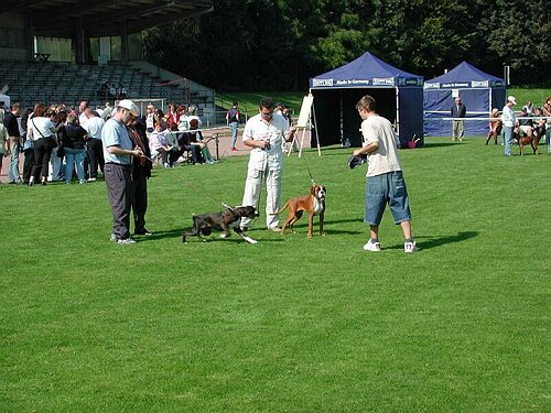 JSZ_PIC005.JPG