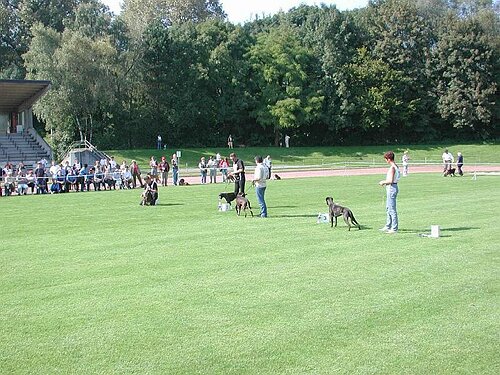 JSZ_PIC006.JPG