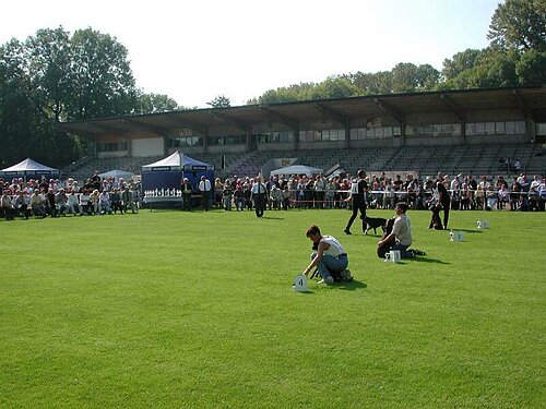 JSZ_PIC007.JPG